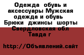 Одежда, обувь и аксессуары Мужская одежда и обувь - Брюки, джинсы, шорты. Свердловская обл.,Тавда г.